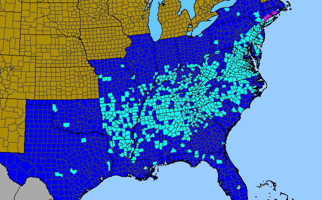 The range of Paulownia tomentosa
